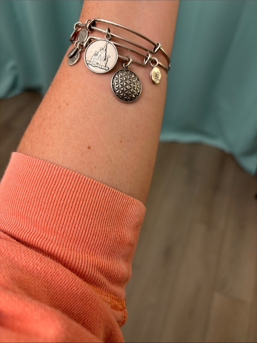 Alex and Ani Disney Parks Silver Bangles